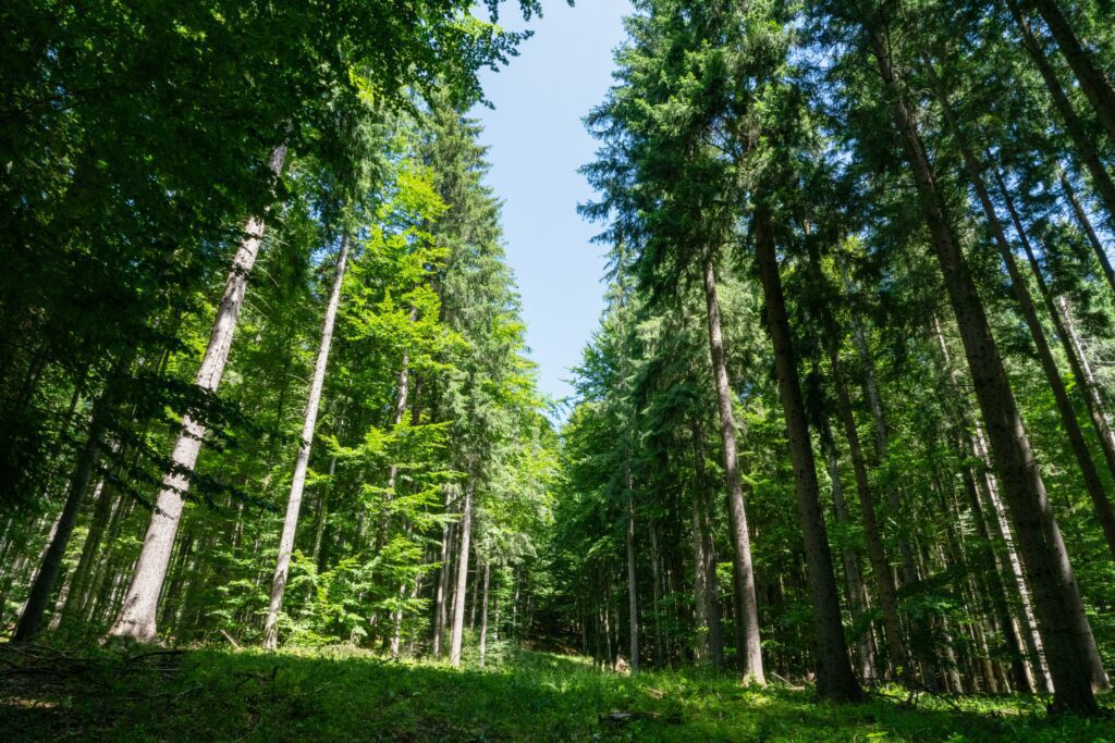 marian florinel condruz bbhjK9xPIK4 unsplash